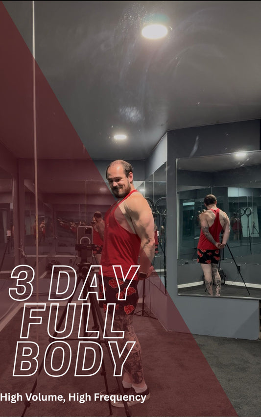 3 Day Full Body